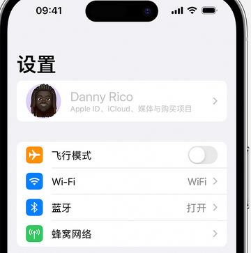 达川appleID维修服务iPhone设置中Apple ID显示为灰色无法使用 