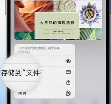 达川apple维修中心分享iPhone文件应用中存储和找到下载文件