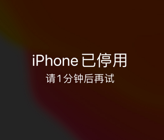 达川苹果手机维修分享:iPhone 显示“不可用”或“已停用”怎么办？还能保留数据吗？ 