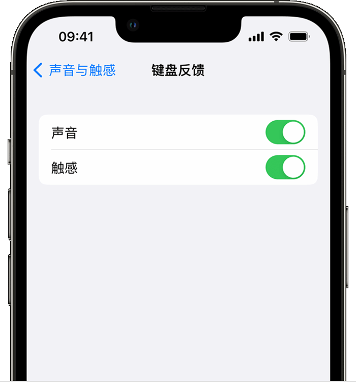 达川苹果14维修店分享如何在 iPhone 14 机型中使用触感键盘 