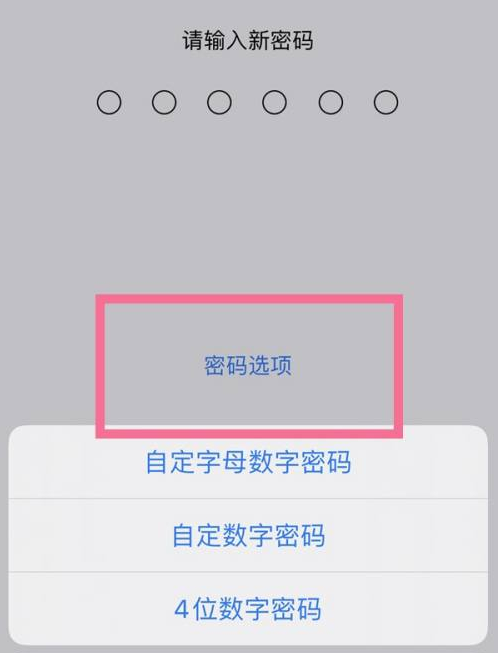 达川苹果14维修分享iPhone 14plus设置密码的方法 